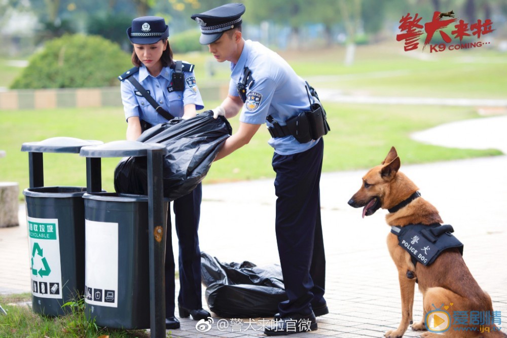 警犬来啦剧照