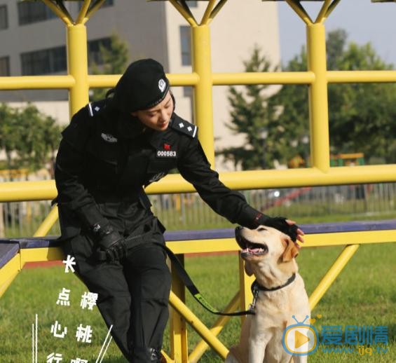 警花与警犬剧照