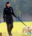 电视剧警花与警犬樱桃在车祸中受伤了没有？樱桃伤的严重吗