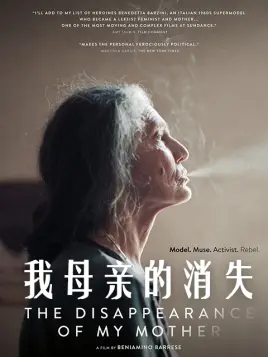  我母亲的消失,介绍海报